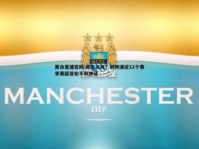 黑白直播官网-能否延续？利物浦近12个赛季英超首轮不败神话