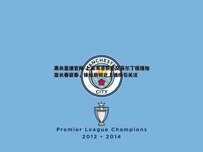 黑白直播官网-上海海港新星艾菲尔丁租借加盟长春亚泰，锋线新锐北上锤炼引关注