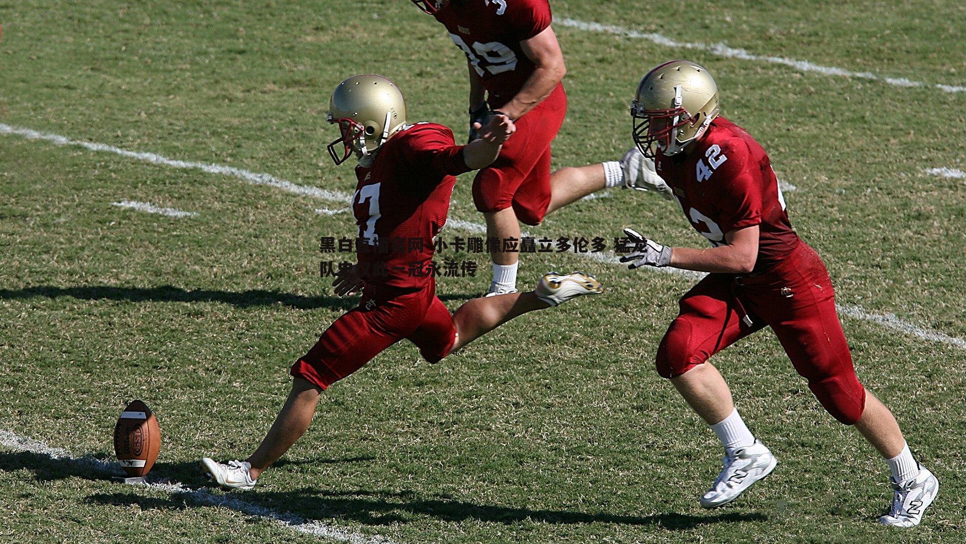 小卡雕像应矗立多伦多 猛龙队史仅此一冠永流传