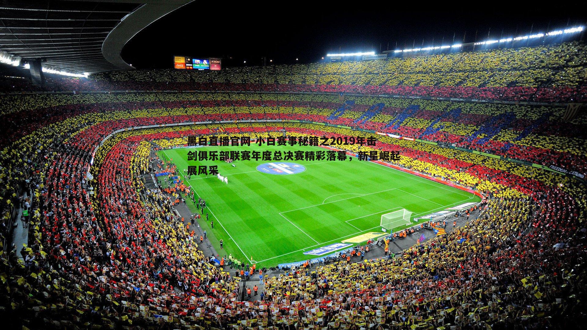 小白赛事秘籍之2019年击剑俱乐部联赛年度总决赛精彩落幕,新星崛起展风采