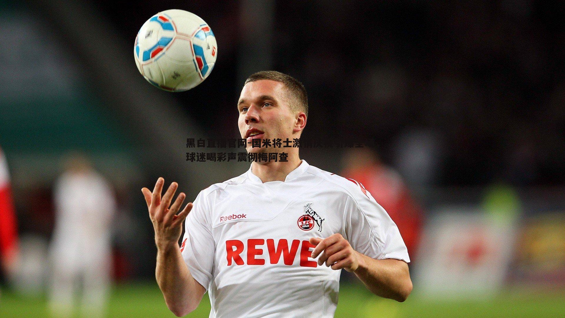 国米将士激情庆祝引爆全场,球迷喝彩声震彻梅阿查