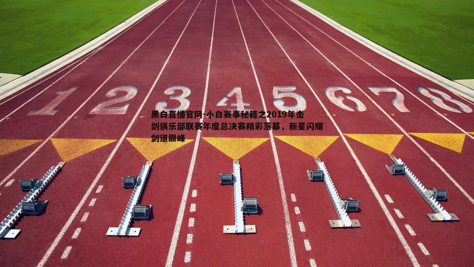 小白赛事秘籍之2019年击剑俱乐部联赛年度总决赛精彩落幕，新星闪耀剑道巅峰